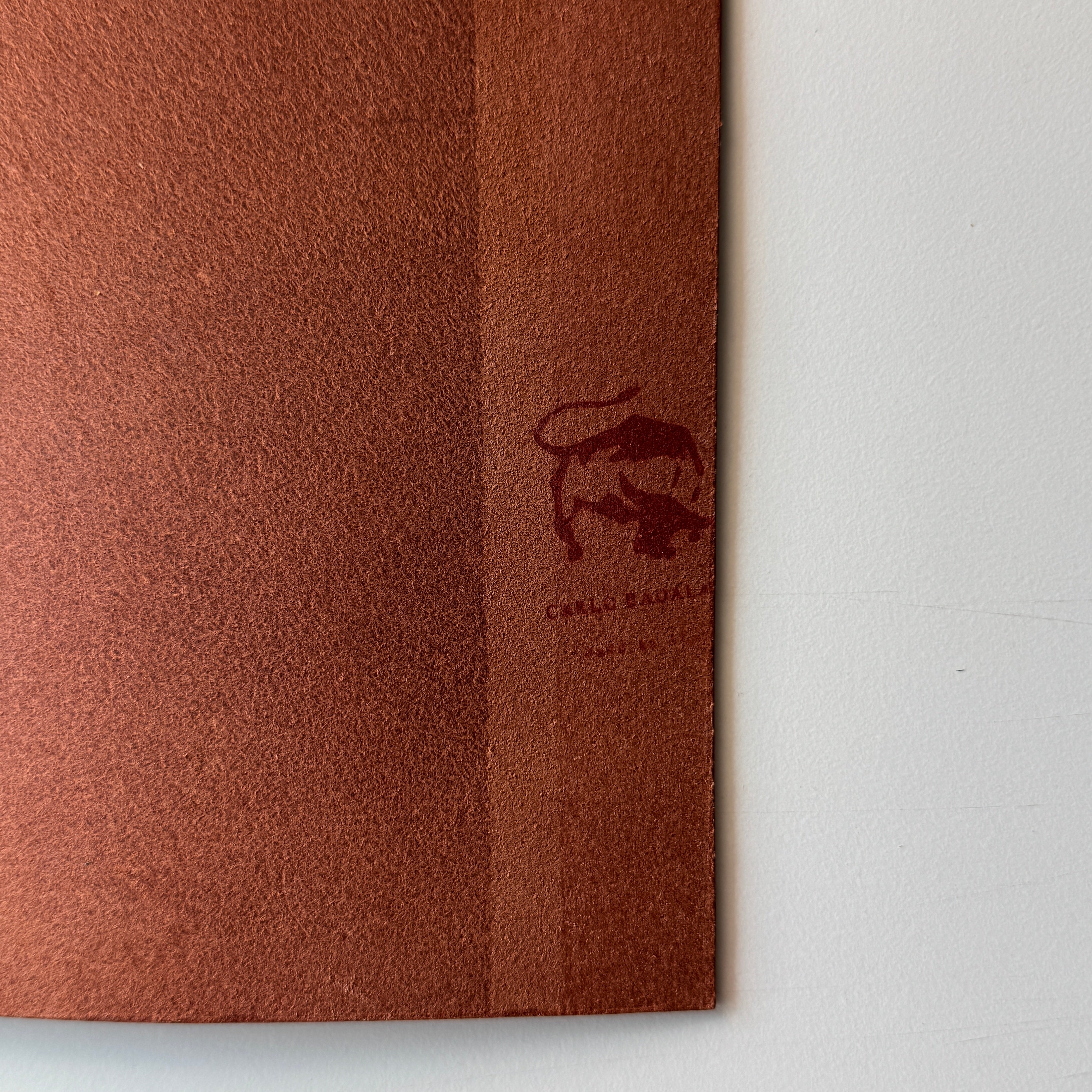 Second chance journals