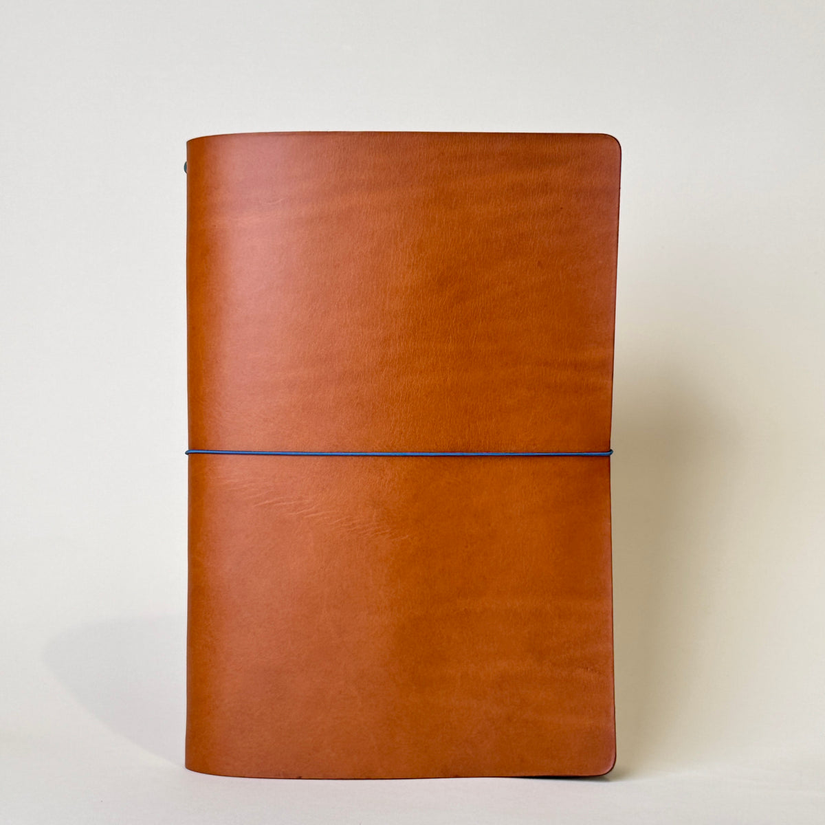 [A4] Carry Fold