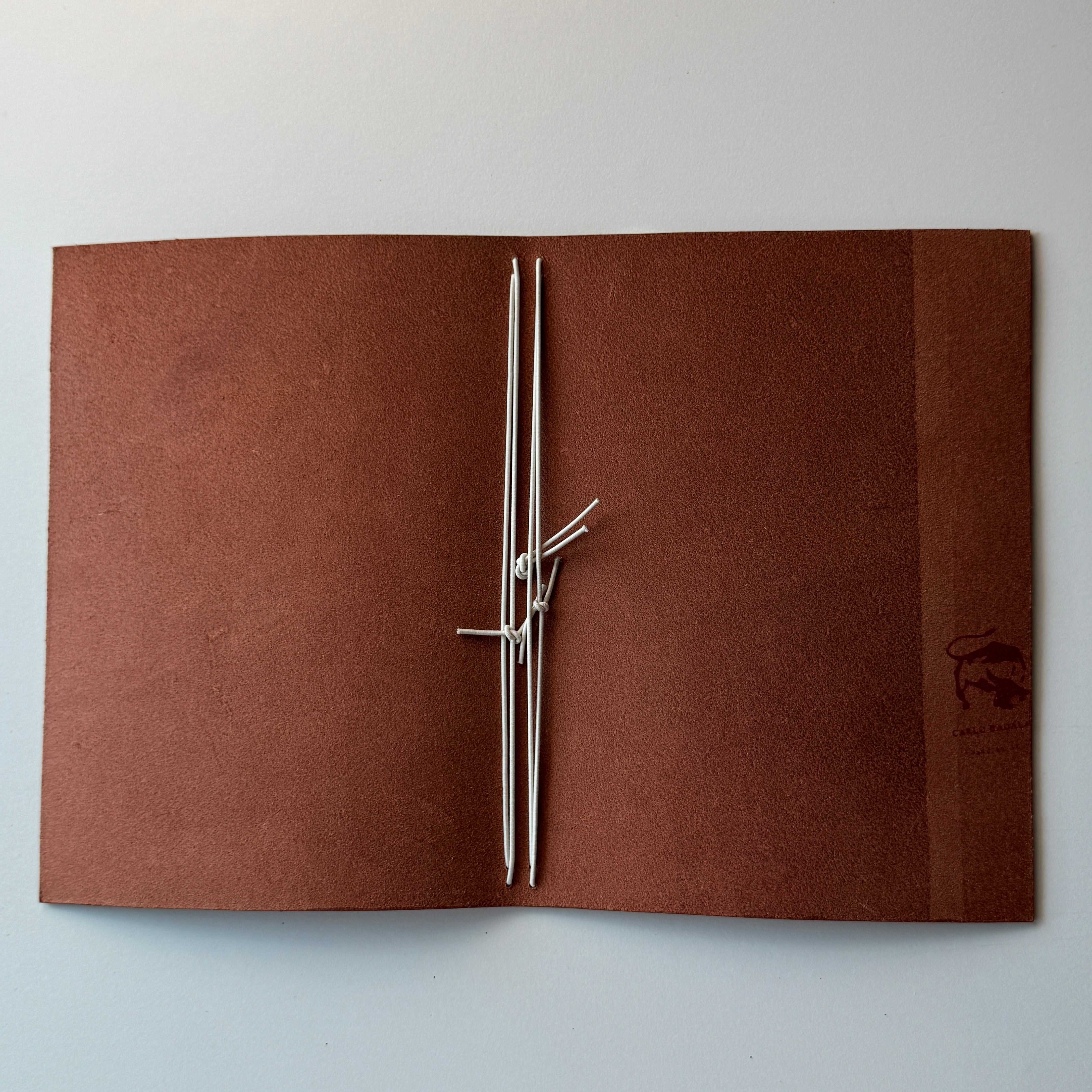 Second chance journals